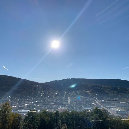 Ferienwohnung Les Balcons De La Haie Griselle Gérardmer Exterior foto